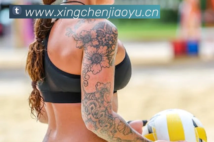 kaiyun网页登录APP 封面图